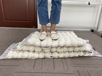 Shandong SINOLINK Haute Qualité Étanchéité Polyuréthane Pu Mousse Température-résistance