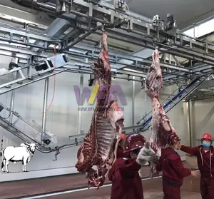 Prix de gros machine d'abattage bovin pour la viande halal de vache veaux équipement d'abattoir à vendre