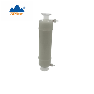 Filtro <span class=keywords><strong>de</strong></span> Membrana PES <span class=keywords><strong>de</strong></span> Grado Biotecnológico <span class=keywords><strong>de</strong></span> 0.1um y 10 Pulgadas con Abrazadera Triple <span class=keywords><strong>para</strong></span> Productos Biológicos y Medios <span class=keywords><strong>de</strong></span> Cultivo Celular - Product Image 1