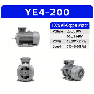 Motor Trifásico de Alta Eficiencia YE4-200, 2/4/6/8 Polos, 15-37kW, Motor de Inducción Industrial de Gran Potencia, Estable y de Alta Eficiencia Energética - Product Image 2