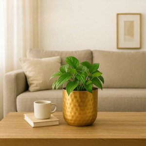 Pot de fleurs en métal doré martelé, rond et cylindrique, pour la décoration de bureau et les plantes vertes - Product Image 3