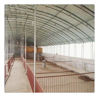 Conception de bâtiment d'élevage de porcs en ossature métallique préfabriquée, maison de porcherie préfabriquée