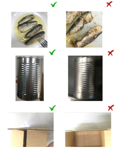 <span class=keywords><strong>Sardinas</strong></span> Enlatadas Oasis en Aceite y <span class=keywords><strong>Salsa</strong></span> <span class=keywords><strong>de</strong></span> Tomate, Ricas en Omega-3, 155g, 3 Años <span class=keywords><strong>de</strong></span> Duración, Calidad Global - Product Image 6