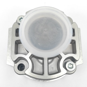 Bomba de Engranajes 0009810443 - Reemplazo OEM de Alta Precisión, Construcción Metálica, Capacidad de 1000 lb para un Funcionamiento Estable - Product Image 6