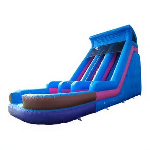 WINSUN - Equipo de Juegos Infantiles Comercial Personalizado, Tobogán Inflable de PVC con Color Personalizado, Castillo, Trampolín, Parque Acuático - Product Image 1