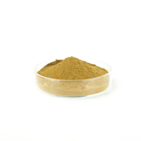 Boisson solide en poudre de Ganoderma de qualité alimentaire 30% polysaccharide/2% extrait de plantes triterpéniques dans un emballage à tambour pour une utilisation en entreprise