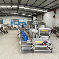 Ligne de production de chips naturelles 100 kg/h, fabricant d'origine, machine industrielle entièrement automatique