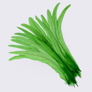 35-40 cm fête carnaval décor bricolage artisanat Floral chapeau chapellerie chapeaux accessoire prune teint poulet coq Coque queue plumes - Product Image 5