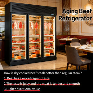 Armoire de maturation numérique intelligente Bindoes pour viande, réfrigérateur de maturation de viande homologué CE, idéal pour les restaurants gastronomiques et boucheries, réfrigérateur spécial - Product Image 1