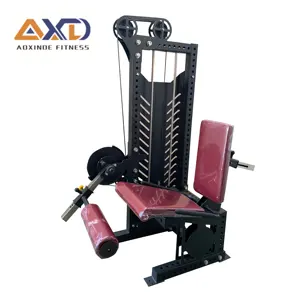 Multi Functional Gym Equipment Fitness & Body Building Workout Seated Leg Extension (AXD-Y05)