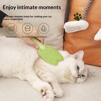 Nouvelle Brosse de Massage pour Animaux en Forme de Crème Glacée, Brosse de Toilettage Double Face pour Éliminer les Poils Détachés des Chats, Grattoir à Poils pour Animaux