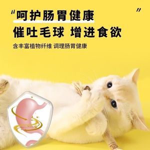 Bâtonnet de dentition en bois d'angélique pour chat, jouet à mâcher pour le nettoyage dentaire, l'élimination du tartre et l'apport d'une haleine fraîche, jouet pour animaux de compagnie - Product Image 2