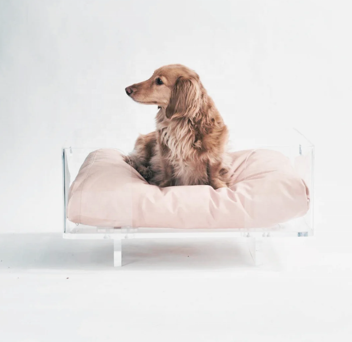 Best Selling Clear Acrylic Beds Transparent Stylish Solutions