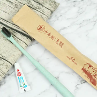 Ensemble brosse à dents et dentifrice de voyage Brosse à dents à usage unique avec pâte personnalisée