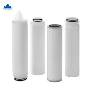 0.2 Micron 10 Inch PTFE Hydrophobic Membrane Air Filter For Bacteria Removal In Gases And Sterile Filtration
