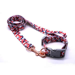 Set di Collare e Guinzaglio per Cani di Lusso Regolabile in Nylon di Alta Qualità Personalizzato Accessori per Cani Prodotti Sportivi per Animali - Product Image 6