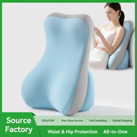 Coussin ergonomique tout-en-un avec soutien lombaire et cervical, coussin de protection pour la taille et les hanches en mousse à mémoire de forme pour canapé-lit