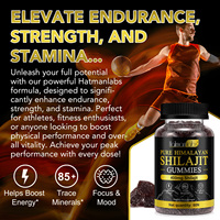 80P Bodywise Shilajit Gummies Extraits purs de plantes Himalaya Shilajit Gummies in Wild-Cultivated Bottle OEM Be