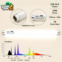 LuckyHerp T8 25W UVB10 Lampe Spirale Classique en Verre pour Reptiles Écologique Intérieur Toutes Saisons JX-FL8T2510 pour Reptiles