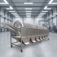 Fruit- en groentesorteermachine met motor voor wortelgewassen en productielijnverwerking