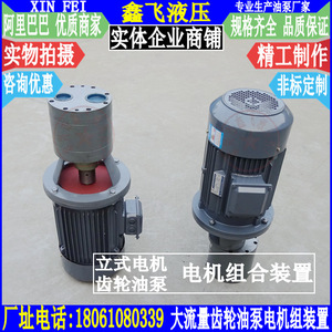 Unidad de Motor de Bomba de Engranajes Vertical de Gran Caudal, de Hierro Fundido, para Lubricación de Máquinas Herramienta - Product Image 3