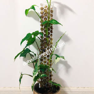 New Idea 2022 Extendable <strong>Coco</strong> Coir Totem Plastic Moss Poles Plant Support for Indoor Climbing Plants Creepers Moss <strong>Sticks</strong> Stand - Product Image 4