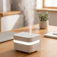 Diffuseur ultrasonique portable en plastique, best-seller d'usine, 450 ml, mini humidificateur rechargeable par USB avec batterie