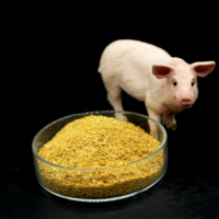 Gluten de maïs de qualité alimentaire 18% avec acides aminés de qualité alimentaire pour porcs, poulets, canards, bovins, poissons