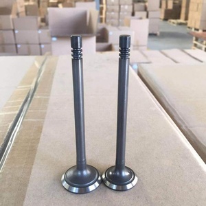 Auto Engine Valve for Suzuki F5A - High Quality Seals