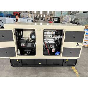 מותאם אישית 30 kva 3-פאזה ריקרדו מנוע דיזל 60 תדר hz 230v מתח דילם סוג לשימוש ביתי standby - Product Image 4