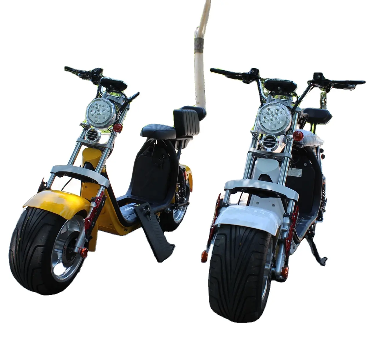 Scooter elettrico Citycoco di grande potenza con 3000W