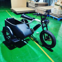 Usine Vélo Électrique Sidecar Adulte Femme Étape À Travers Sur Trois Roues Batterie Au Lithium Côté Voiture Électrique e Vélo Ebike