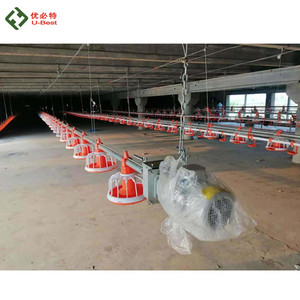 Gà thịt Ăn Pan hệ thống cho Gia Cầm Thiết Bị khoan <span class=keywords><strong>feeder</strong></span> trong Gà Thịt Trang Trại - Product Image 1