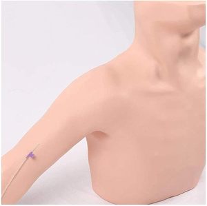 Medische Wetenschap Klinische Onderwijstrainingsmodel Menselijke Inwendige Halsader Intubatie Model - Product Image 4