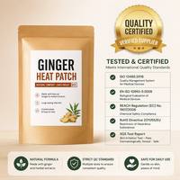 Patch chauffant au gingembre en gros, 50 pièces/sac, plâtre naturel à base de plantes pour soulager les douleurs au genou, au cou et à la taille, logo personnalisé