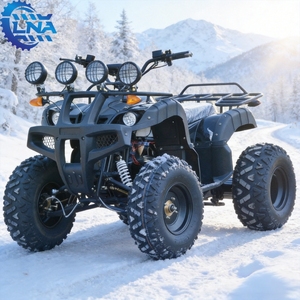 <span class=keywords><strong>Quad</strong></span> ATV électrique 2000W 2x4 LNA pour la location sur la plage, livraison mondiale - Product Image 3