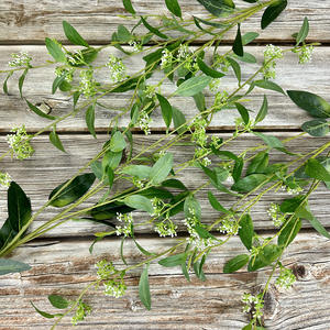 ใบฮอลลี่สีเขียวประดิษฐ์  แบบใบเดี่ยว  เป็นมิตรกับสิ่งแวดล้อม  สมจริงสูง  สำหรับตกแต่งคริสต์มาส  ปีใหม่  งานแต่งงาน  บ้าน  สำนักงาน  ขายส่ง - Product Image 3