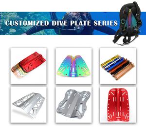 Di alta qualità lucidante a specchio in acciaio inossidabile per immersione con la piastra posteriore per cintura - Product Image 2