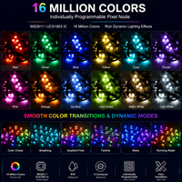 Luces LED de píxeles direccionables RGB, cadena de luces LED de Navidad, sistema de luces permanentes para decoración del hogar, luces puntuales