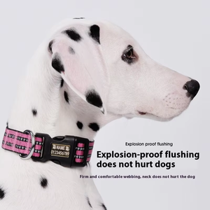 Collar táctico personalizable para perro grabado láser patrón sólido Collar para mascota Correa personalizada estilo lindo Collar para perro - Product Image 4