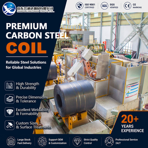 Cutting S355JR S235JR Hot Rolled Pickled and Oiled 2mm 600mm <b>Leveling</b> Carbon Steel Coil in Oil and Gas - Product Image 1