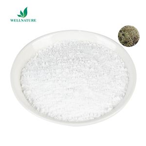 Poudre d'<span class=keywords><strong>acide</strong></span> <span class=keywords><strong>salicylique</strong></span> de salicine/extrait de Branches d'arbre de Salix Alba extrait d'écorce de <span class=keywords><strong>saule</strong></span> <span class=keywords><strong>blanc</strong></span> pour cosmétique 15%-98% - Product Image 3