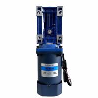 Moteur à engrenages triphasé AC 110v 220v 380v 6w 15w 25w 40w 60w 90w 120w 150w 180w 200w avec réducteur à vis sans fin Nmrv