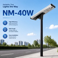 Lampu Jalan Tenaga Surya Terintegrasi 40W IP66 6800LM LED Sensor Gerak Tiang Aluminium untuk Jalan dan Taman