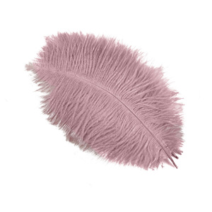 Plumas Grandes de Avestruz de Alta Calidad de 45 cm a 50 cm de Longitud, Plumas Teñidas de Colores para Vestuario de Escenario, Decoraciones de Boda y Proyectos de Manualidades - Product Image 5
