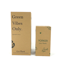 Boîtes d'expédition pour plantes vivantes en papier kraft naturel pour le transport de plantes