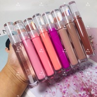 Gloss à lèvres brillant avec paillettes, tube transparent personnalisé avec logo, imperméable, vente chaude 2022, fournisseur de gloss à lèvres