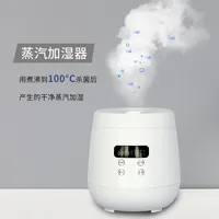 Humidificador de vapor caliente, difusor de niebla caliente de acero inoxidable, cocina de arroz, 2L, novedad de 2021