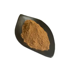 Food Grade 100% 10:1 Clove Extract Powder