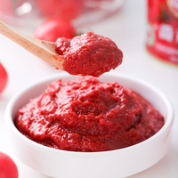 Pâte de tomate en conserve premium en saumure, haute teneur en Brix 28~40, pour la restauration, sauces pour pizzas et pâtes, concentrée, prête à l'emploi, qualité industrielle
